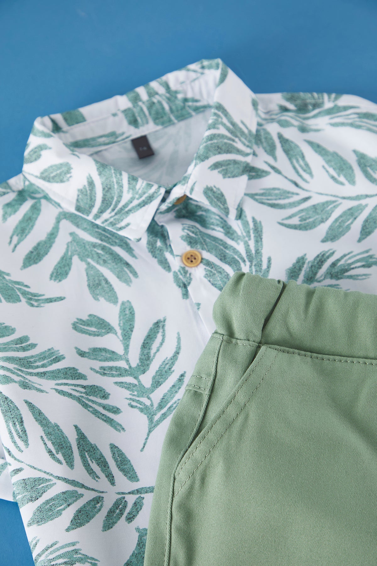 Boys' Tropical-Print Cotton Shirt & Shorts Set