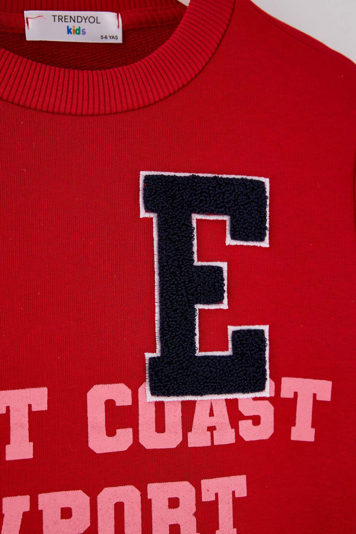 Boys' Red Embroidered Thick Cotton Sweatshirt
