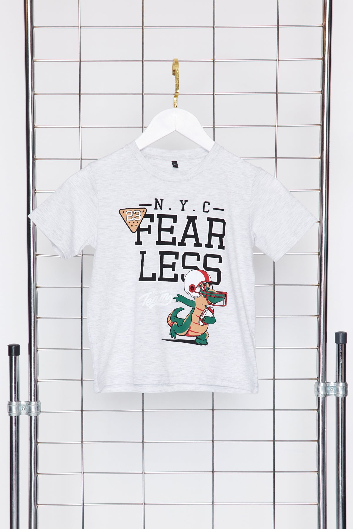 Boys' Grey Dinosaur-Print Cotton T-Shirt